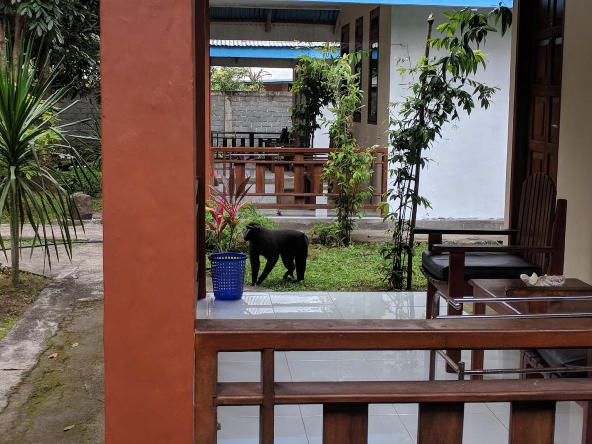Tangkoko Macaca Hotel Rinondoran Exterior photo
